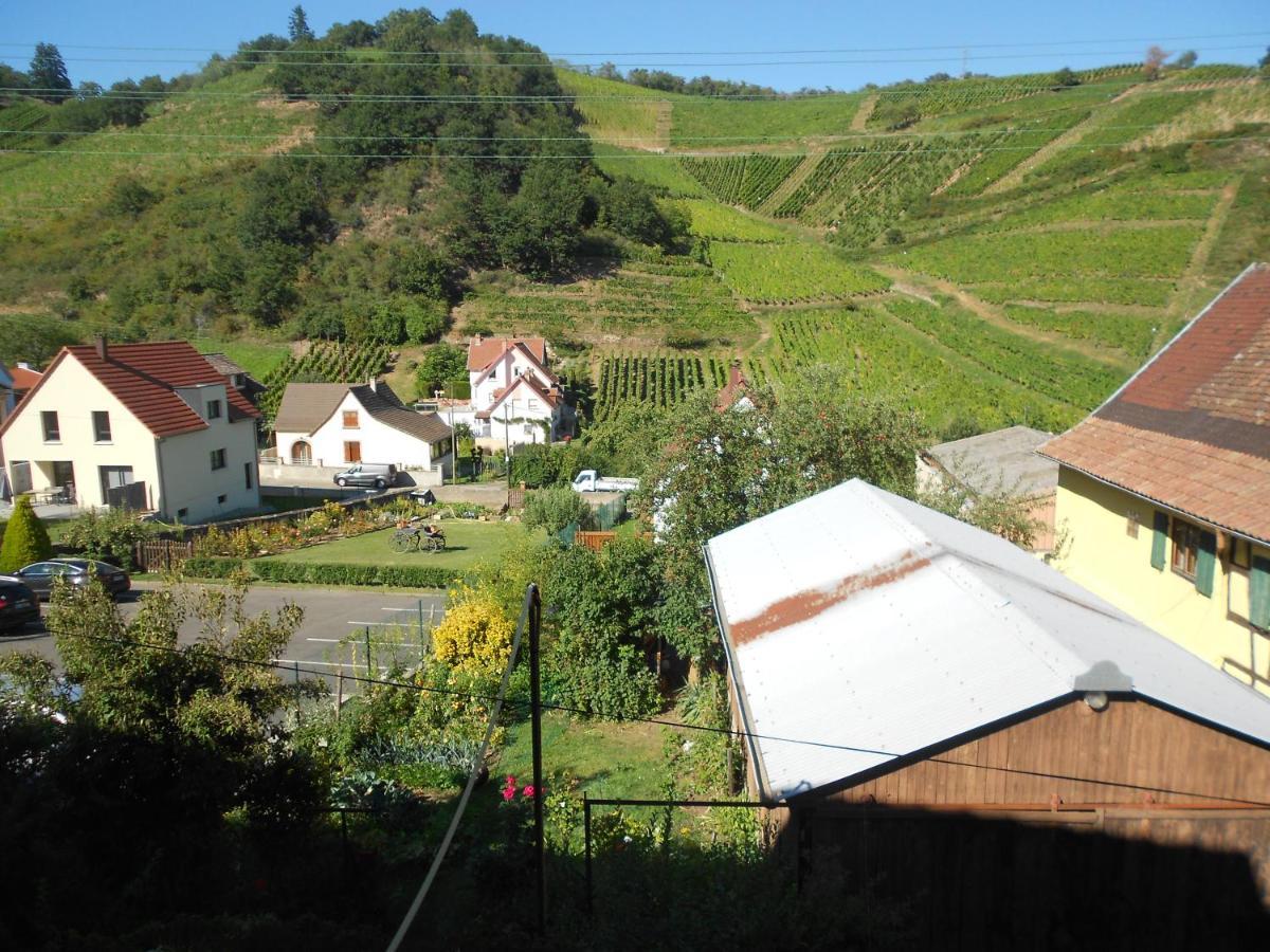 Les Vendangeurs Appartement Niedermorschwihr Buitenkant foto