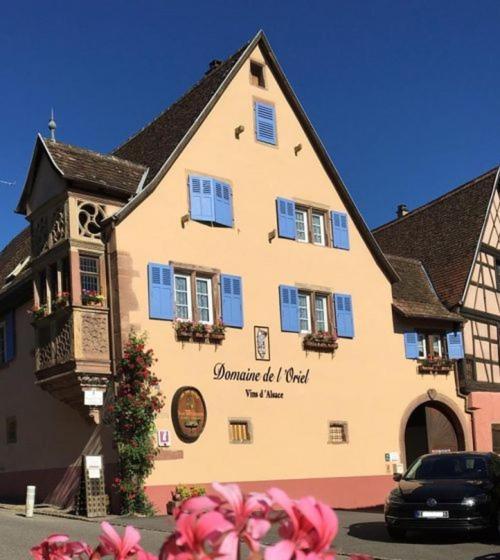 Les Vendangeurs Appartement Niedermorschwihr Buitenkant foto